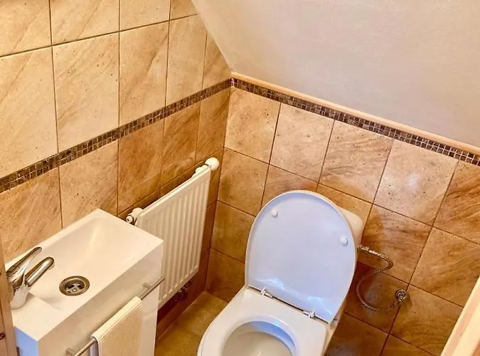 Brtniky Stare Krecany